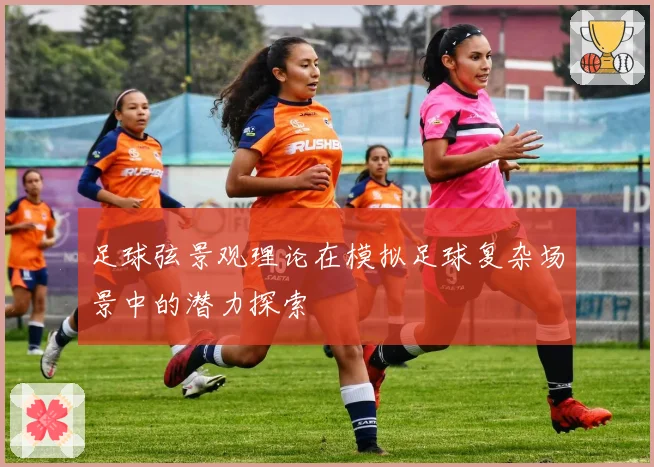 足球弦景观理论在模拟足球复杂场景中的潜力探索
