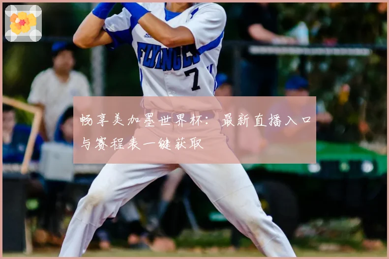 畅享美加墨世界杯：最新直播入口与赛程表一键获取